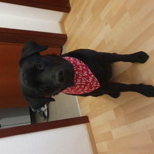 Lara added a photo of their purchase