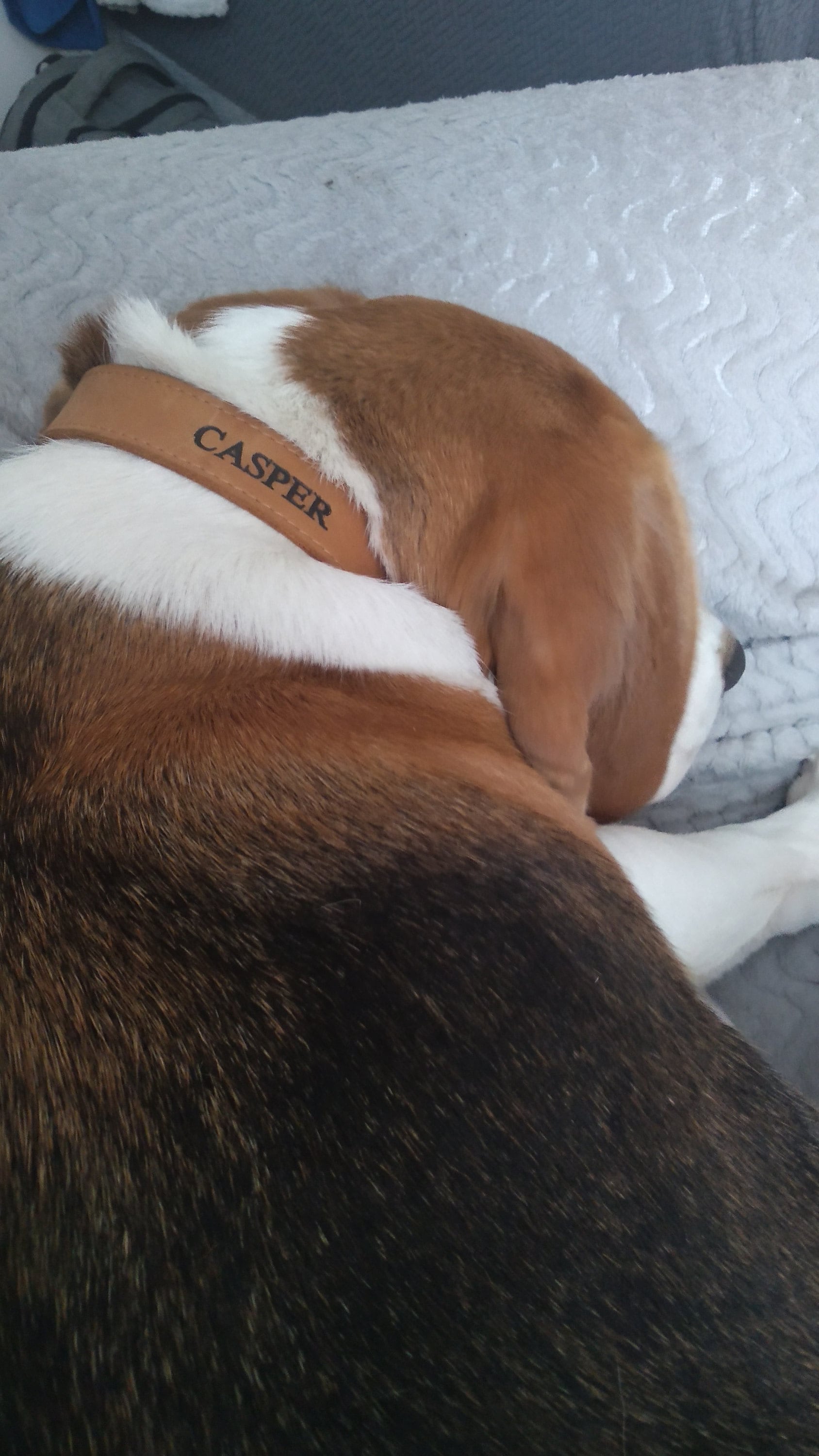 Personalized Leather Dog Collar, Personalized Dog Collar, Genuine Leather Dog Collar, Engraved Leather Dog Collar, Customized Dog Collar