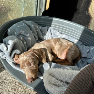 Francesca added a photo of their purchase