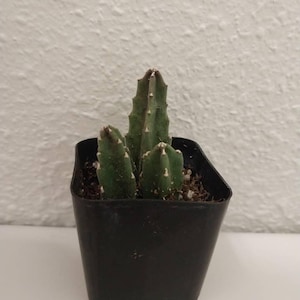 Annette added a photo of their purchase