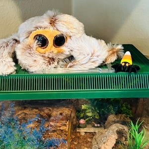 Karen added a photo of their purchase