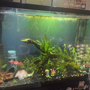 Andrea added a photo of their purchase