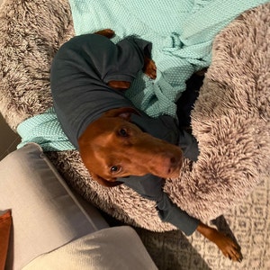 Belinda added a photo of their purchase