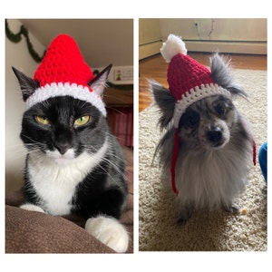 Santa Cat Hat Crochet Pattern, Fun and Festive Christmas Crochet ...