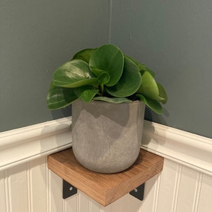 Laura added a photo of their purchase