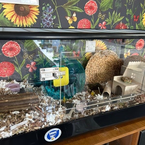 Laurie added a photo of their purchase