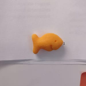 Holdfish Fridge Magnets Set of 6 Pcs, Goldfish Crackers Lovers Gift Idea