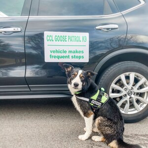 Missy added a photo of their purchase