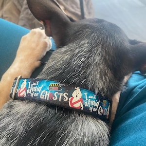Erin added a photo of their purchase