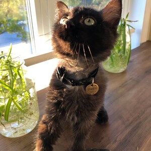 Sydney added a photo of their purchase