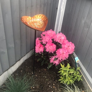 Steph added a photo of their purchase