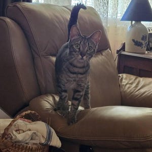 Charilee added a photo of their purchase