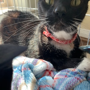 Robin a ajouté une photo de son achat