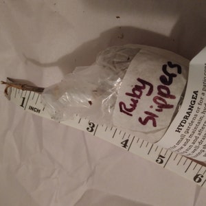 Claudia heeft een foto van de aankoop toegevoegd