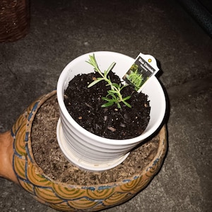 Glendalyn added a photo of their purchase