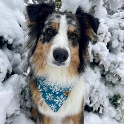 st patricks day bandana