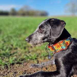 holly added a photo of their purchase
