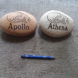 David added a photo of their purchase