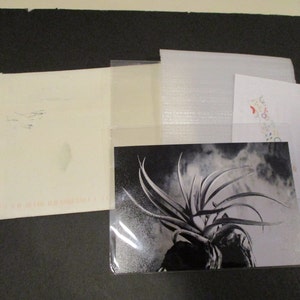 Deborah added a photo of their purchase