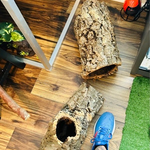 Cork Bark Rounds 2 Lbs Animal Hides in a Terrarium / Vivarium - Etsy