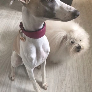 Caroline ha aggiunto una foto del proprio acquisto
