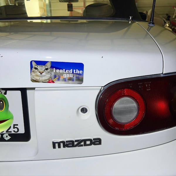 I Eated the Gas | Funny Cat Meme Sticker, Waterproof Vinyl Bumper ...
