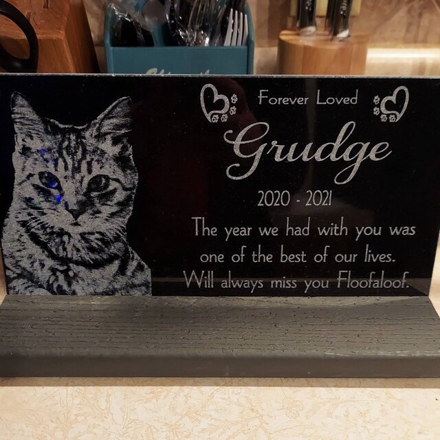 Placa De Pizarra Para Colgar Con Grabado Para Amantes De Gatos - 20x20 Cm