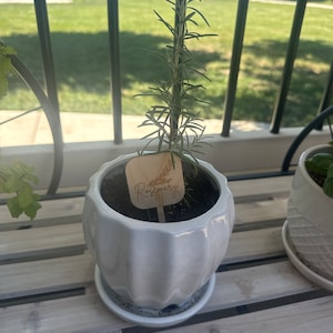 McKenzie added a photo of their purchase