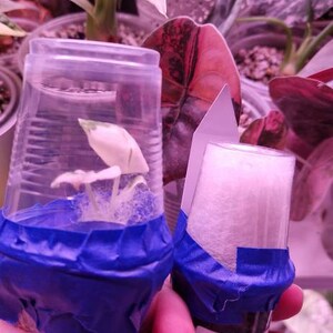 Michaela dodał(a) zdjęcie swoich zakupów