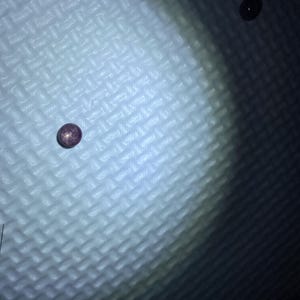 Etsy-Käufer:in hat ein Foto des gekauften Artikels hinzugefügt