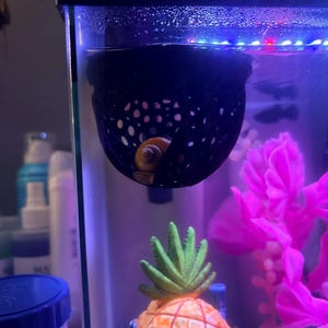 Lily added a photo of their purchase