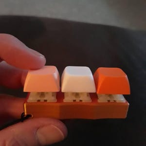 Sandra added a photo of their purchase