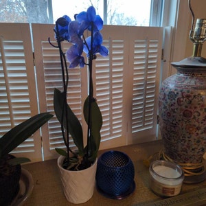 Karin added a photo of their purchase