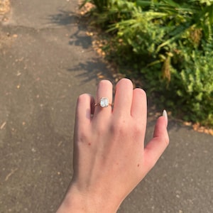 Seth added a photo of their purchase