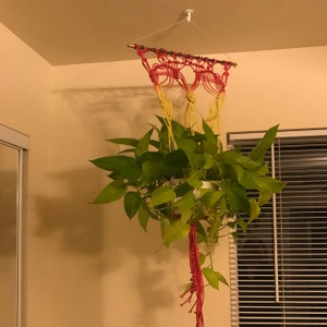 Diana added a photo of their purchase