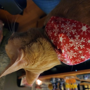 L added a photo of their purchase