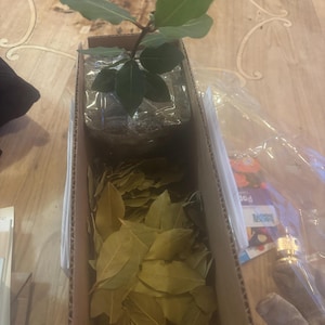 Norma added a photo of their purchase