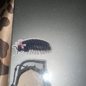 Mia added a photo of their purchase