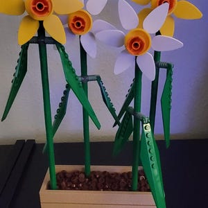 Jocelin ha aggiunto una foto del proprio acquisto