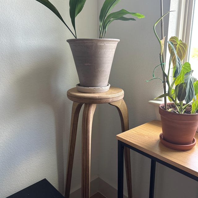 植物スタンド、大型、屋内植物スタンド、植物スツール、エンドテーブル