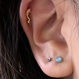 Louise added a photo of their purchase