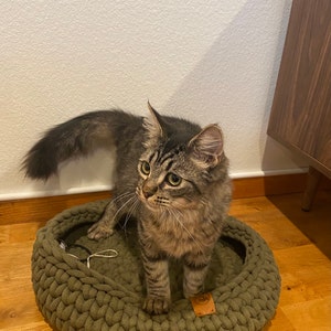 elyse added a photo of their purchase