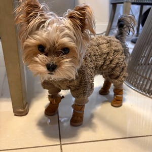 Madeline added a photo of their purchase