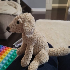 Sarah added a photo of their purchase