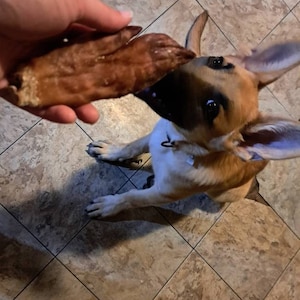 Comprador Etsy adicionaram uma foto da sua compra