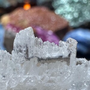 Marci added a photo of their purchase