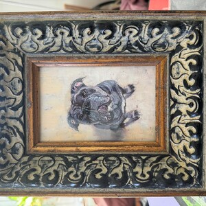 Asha added a photo of their purchase