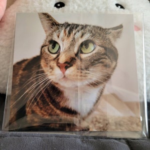 Cami hat ein Foto des gekauften Artikels hinzugefügt