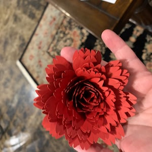 Stacy added a photo of their purchase