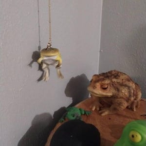 Phantasmic added a photo of their purchase